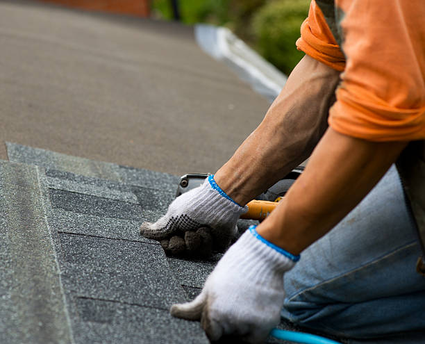 Quick and Trustworthy Emergency Roof Repair Services in Williamston, SC